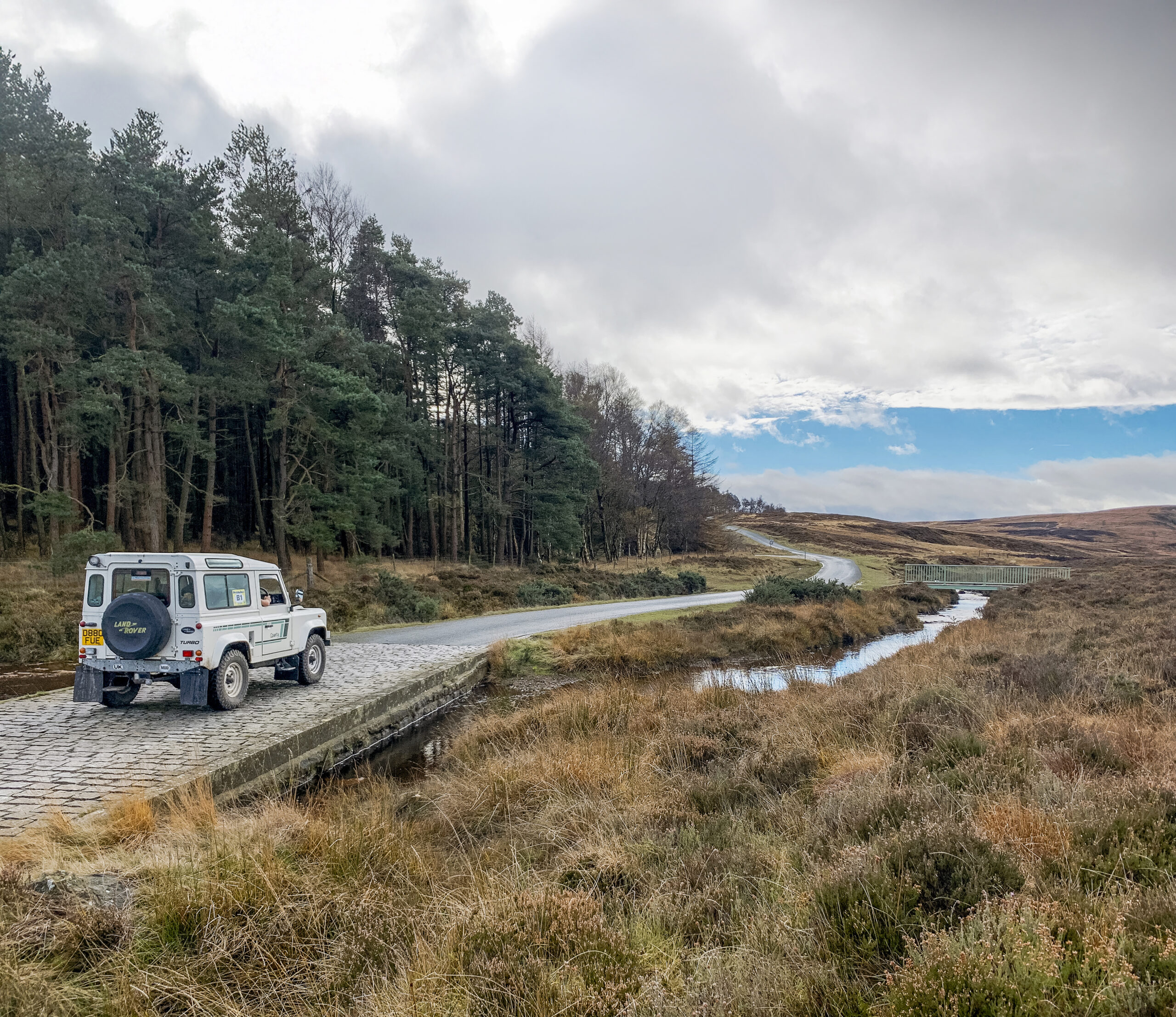 Beauty And Tranquility 3